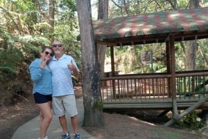 Medellin : L'étonnante réserve naturelle d'Arvi