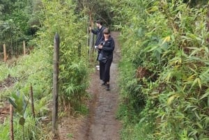 Medellin : L'étonnante réserve naturelle d'Arvi