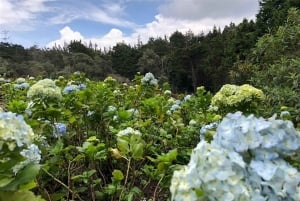 Medellin : L'étonnante réserve naturelle d'Arvi