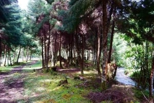 Medellin : L'étonnante réserve naturelle d'Arvi