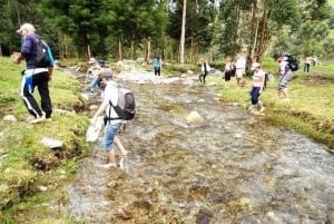 Medellin : L'étonnante réserve naturelle d'Arvi