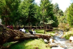 Medellin : L'étonnante réserve naturelle d'Arvi