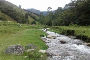 Medellin : L'étonnante réserve naturelle d'Arvi