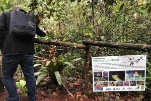 Medellin : L'étonnante réserve naturelle d'Arvi
