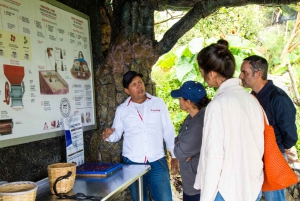 Medellin: Coffee Tour and Wellness Spa