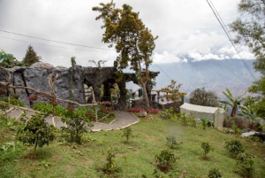 Medellin: Coffee Tour and Wellness Spa