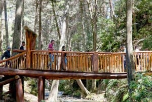 Medellin: Arvi Park, Seilbahn & Wasserläufe Tour