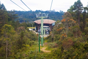 Medellin: Arvi Park, Seilbahn & Wasserläufe Tour