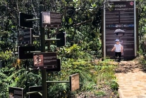 Medellín: Arví Park Hike
