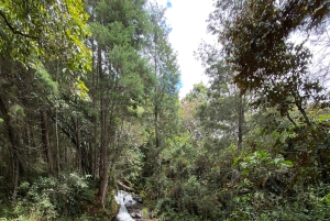 Medellin: ATV tour and fishing. Adventure day.