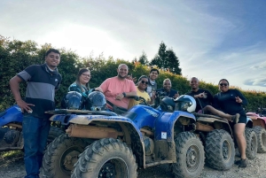 Medellín: Tour in quad (ATV) su 3 montagne e cascata