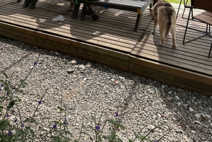 Medellín: Tour in quad (ATV) su 3 montagne e cascata