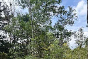 Medellín: Tour en Cuatrimoto (ATV) por Montañas y Cascada