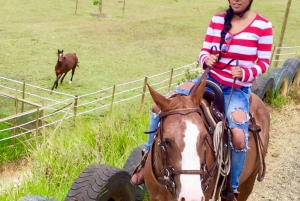 Medellín: Authentic Colombian Horseback Ride