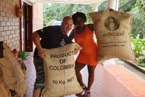 Medellin: Avoeden Café Coffee Brewing Workshop