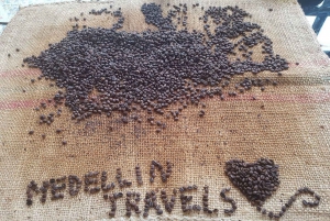 Medellin: Avoeden Café Coffee Brewing Workshop
