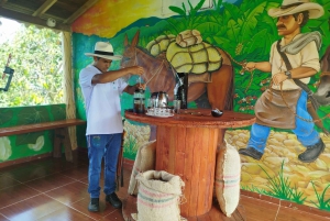 Medellín: Between mountains & coffee