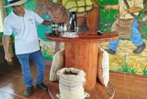 Medellín: Between mountains & coffee