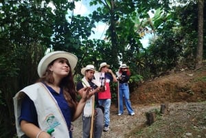 Medellín: Between mountains & coffee