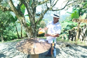 Medellín: Between mountains & coffee