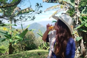 Medellín: Between mountains & coffee