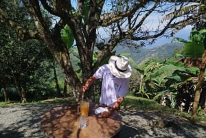 Medellín: tussen bergen en koffie