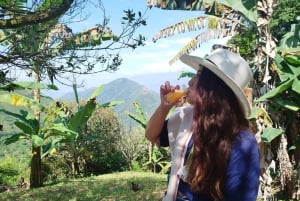 Medellín: tussen bergen en koffie