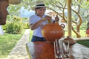 Medellín: tussen bergen en koffie