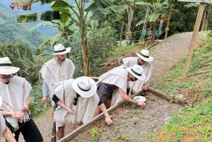 Medellín: tussen bergen en koffie