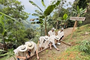 Medellín: tussen bergen en koffie
