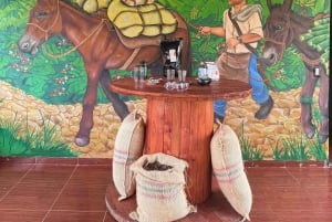 Medellín: tussen bergen en koffie