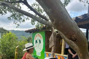 Medellín: tussen bergen en koffie