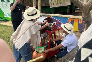 Medellín: tussen bergen en koffie