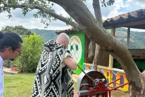 Medellín: tussen bergen en koffie