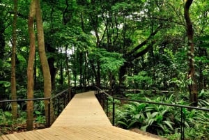 Medellín: Tour de la ciudad por el Jardín Botánico y el Parque Arvi