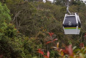 Medellín: Tour de la ciudad por el Jardín Botánico y el Parque Arvi