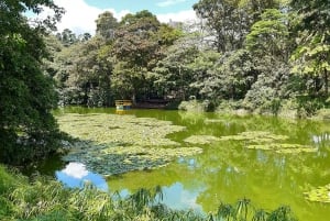 Medellín: Tour de la ciudad por el Jardín Botánico y el Parque Arvi