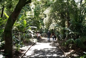 Medellín: Tour de la ciudad por el Jardín Botánico y el Parque Arvi