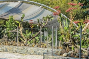 Medellín: Tour de la ciudad por el Jardín Botánico y el Parque Arvi