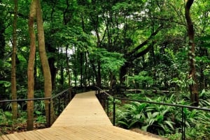 Medellín: Botanisk hage og byrundtur i Arvi Park