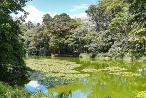 Medellín: Botanisk hage og byrundtur i Arvi Park