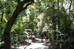 Medellín: Botanisk hage og byrundtur i Arvi Park