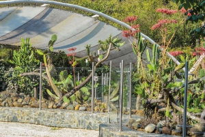 Medellín: Botanisk hage og byrundtur i Arvi Park