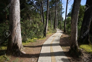 Medellín: Botanisk hage og byrundtur i Arvi Park