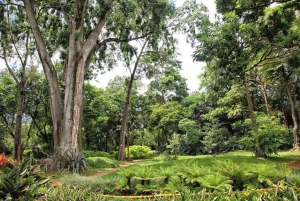 Medellín: Botanical Gardens Half-Day Tour