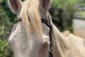 Medellín: Caldas Horseback Riding Tour with Drinks