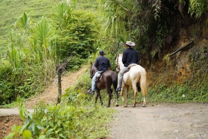 Medellín: Caldas Horseback Riding Tour with Drinks