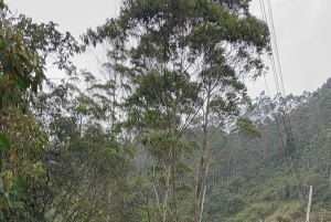 Medellín: Caldas Horseback Riding Tour with Drinks