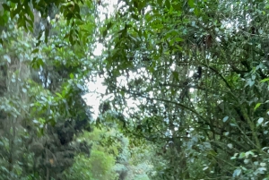 Medellín: Caldas Horseback Riding Tour with Drinks