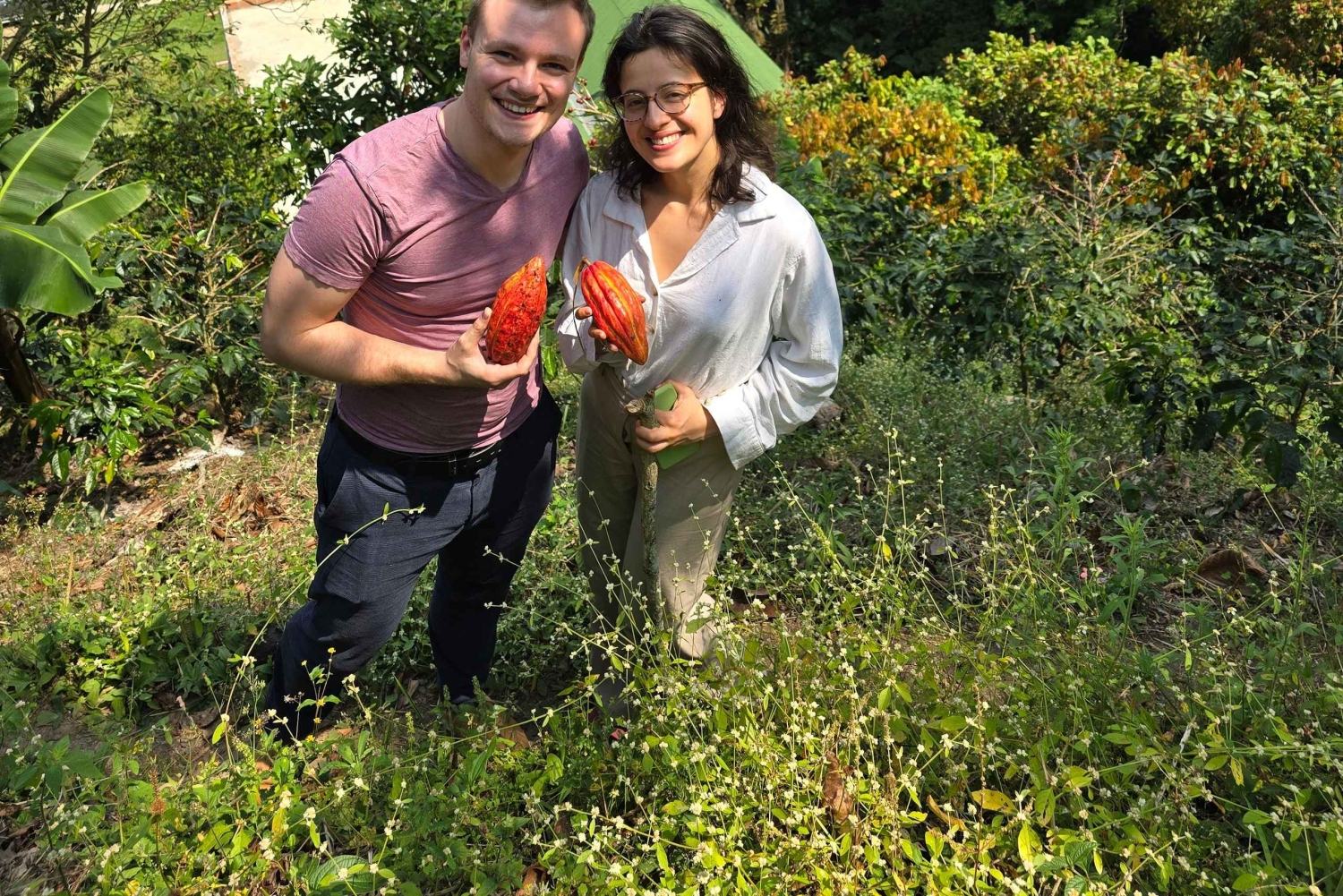 Medellin: Chocolate Farm Private Tour w/Workshop ja maistiaiset